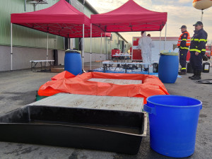 Virus ptačí chřipky zasáhl celou drůbežárnu, utratit budou muset všech 750 000 nosnic