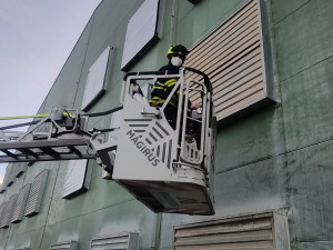 Likvidace 750 000 nosnic a milionů vajec potrvá několik týdnů a může vyjít na více než půl miliardy korun