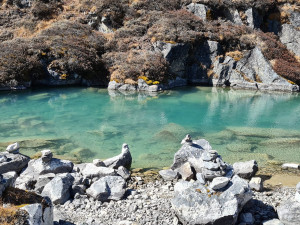 SAMA V NEPÁLU: Gokyo lakes jsou jako nepálské Lago di Garda
