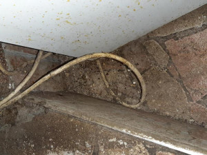 Inspektoři našli ve skladu pizzerie myší bobky a vrstvy pavučin, část prodejny uzavřeli