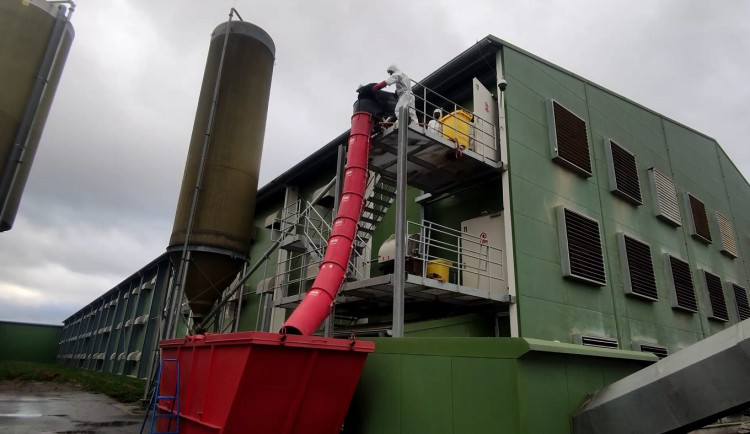 Největší ohnisko ptačí chřipky likviduje více než stovka hasičů, pomáhají jim i kolegové ze sousedního kraje