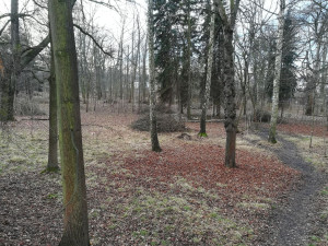 Nevyužívaná část parku se stala útočištěm pro bezdomovce a narkomany, město ho chce obnovit