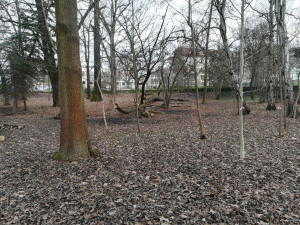 Nevyužívaná část parku se stala útočištěm pro bezdomovce a narkomany, město ho chce obnovit