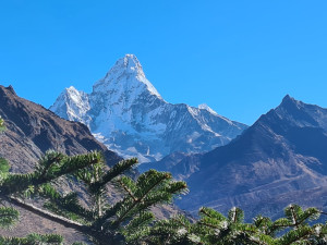 SAMA V NEPÁLU: Cesta domů a dolů