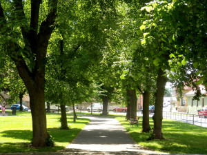 Alej U Saské brány v Rokycanech, foto: Jan Sedláček