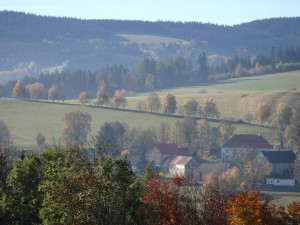Stromořadí Hlavňovice k Suché, foto: Marta Netrvalová.