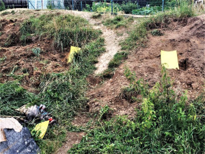 Množitelka psů chovala v otřesných podmínkách stovky čivav, soud jí poslal na rok a půl do vězení