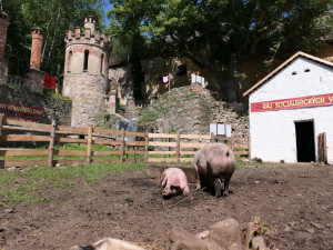 V zámku Zelená Hora vzniknou expozice o historii místa a komunistické totalitě