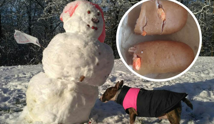 Ve Vratislavicích na sídlišti se objevily otrávené návnady, majitelé psů by měli být opatrní