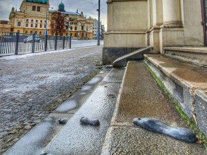 Nová bezplatná aplikace přiblíží osudy židovských spoluobčanů v době holokaustu