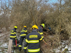 Divoký kůň uvízl v těžko přístupném terénu, hasiči hodiny bojovali o jeho záchranu