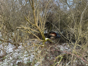 Divoký kůň uvízl v těžko přístupném terénu, hasiči hodiny bojovali o jeho záchranu