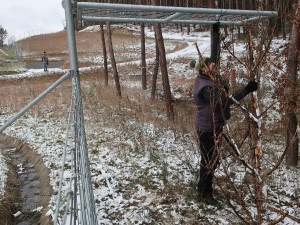 Mladý muž neváhal a ochotně se zapojil do záchranné akce u plotu