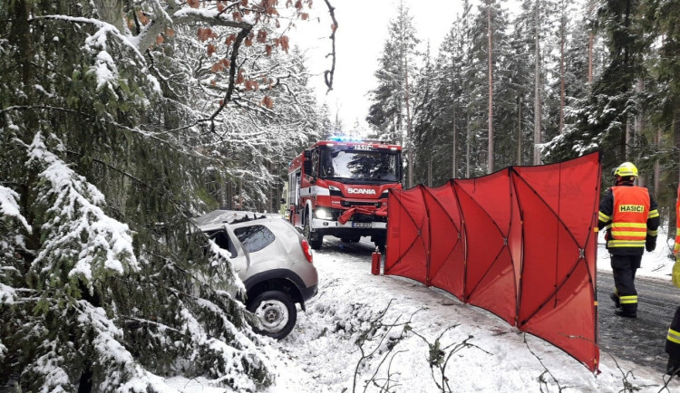 Starší řidič sjel ze silnice a narazil do stromu, zemřel na místě