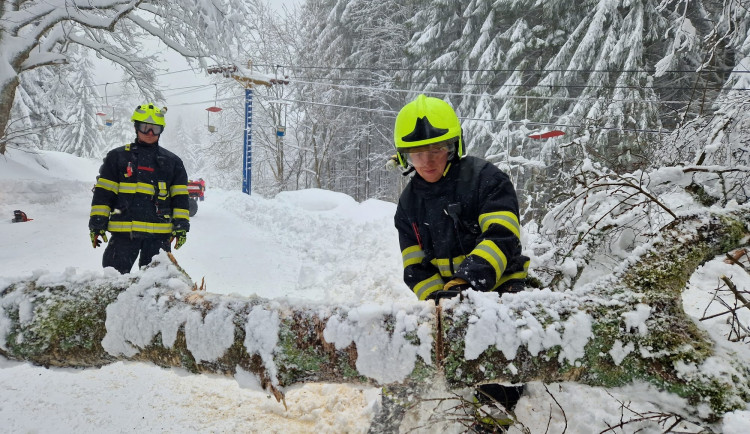Hasiči odstraňují padlý strom na Hofmankách u šumavského Špičáku