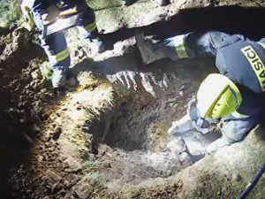 Fenka Kira se dostala pod zemí do betonové skruže plné vody a hrozilo jí utonutí. Při záchraně šlo o sekundy