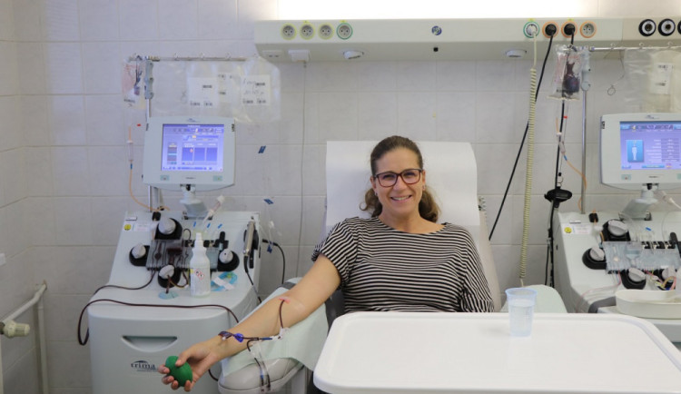 Fakultní nemocnice Plzeň hledá nové dárce krevních destiček pro léčbu lidí s leukémiemi. Toto dárcovství nebolí