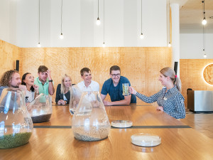 Prohlídka pivovaru Gambrinus