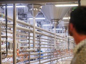 Prohlídka pivovaru Gambrinus