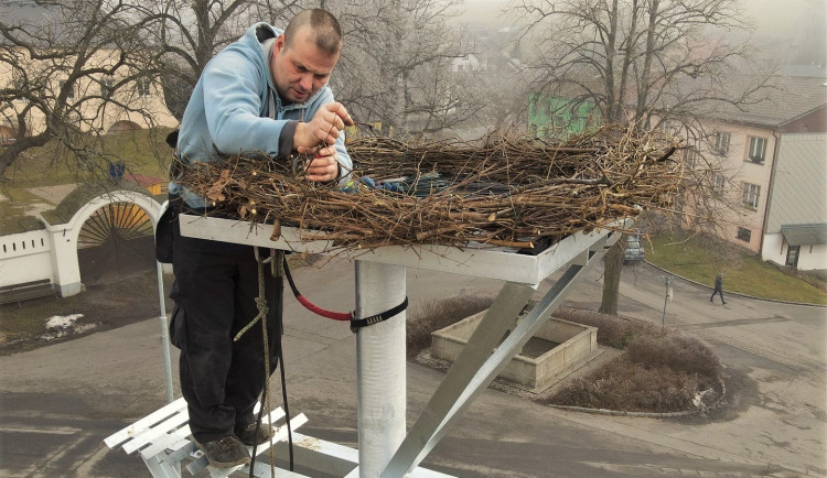 Šumavská obec připravila nové hnízdo pro své čápy. Staré bylo vpleteno do vodičů elektrického vedení a muselo pryč