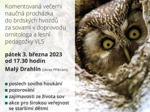 Za houkáním sov se vydá výprava do nočních brdských lesů