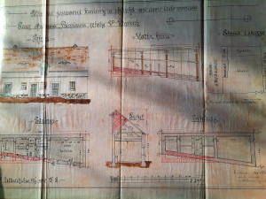 Pátrání po předcích je lepší než detektivka, říká kronikářka