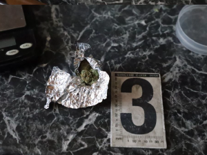 Povedená rodinka kšeftovala s drogami, policisté obvinili bratra se sestrou i jejich matku