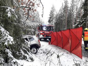 K tragické nehodě došlo hned druhý únorový den na silnici druhé třídy mezi obcemi Čbán a Plachtín na severním Plzeňsku. Při nehodě zemřel čtyřiasedmdesátiletý řidič.
