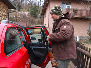 Pracovníci zoo hledali uprchlého lva, naštěstí šlo jen o cvičení a v křoví se schovával plyšák