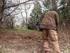 Pracovníci zoo hledali uprchlého lva, naštěstí šlo jen o cvičení a v křoví se schovával plyšák