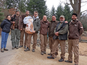 Pracovníci zoo hledali uprchlého lva, naštěstí šlo jen o cvičení a v křoví se schovával plyšák