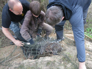 V roce 2017 utekl ze zoo například dikobraz, foto: Záchranná stanice živočichů Plzeň