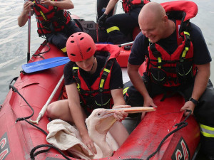 V roce 2019 odchytávali zvířecí záchranáři a hasiči pelikána na borské přehradě, foto Záchranná stanice živočichů Plzeň
