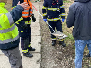 Pod hrází přehrady plavaly desítky mrtvých ryb, odborníci z laboratoře sbírají vzorky vody