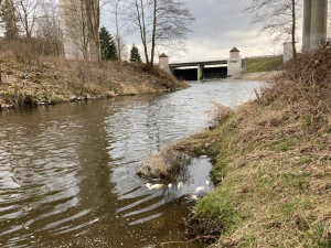 Pod hrází přehrady plavaly desítky mrtvých ryb, odborníci z laboratoře sbírají vzorky vody