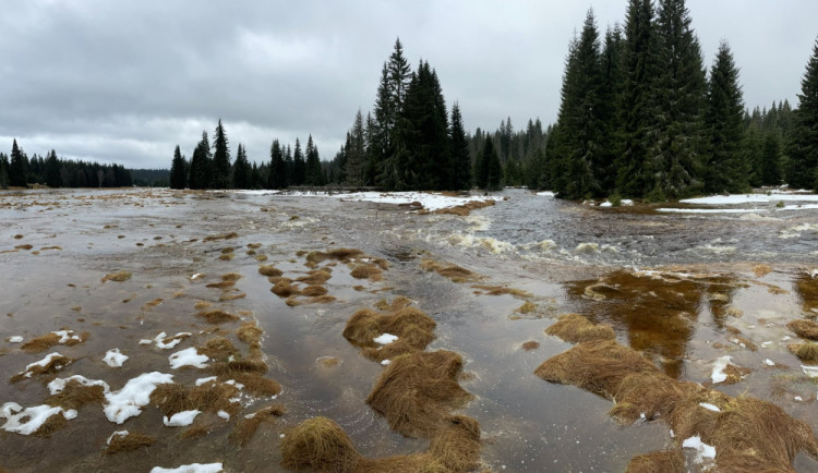 Silný déšť a tání sněhu rozvodní šumavské řeky, které se rozlijí ze svých koryt. Vydatně pršet tam má do čtvrtka