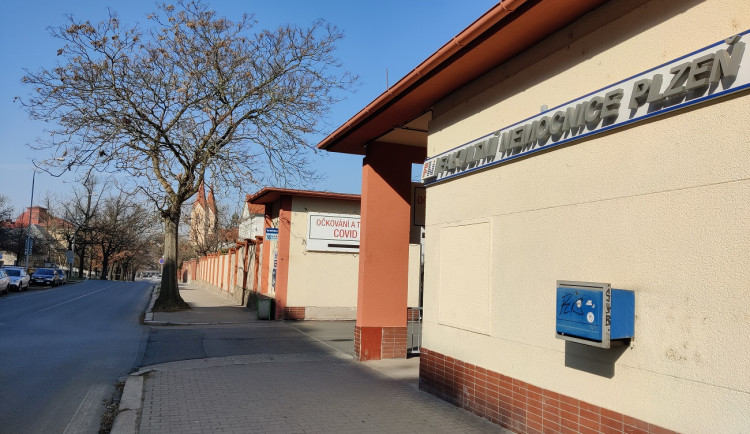 U fakultní nemocnice na Borech začne zítra kácení stromů, musí ustoupit novým parkovacím místům