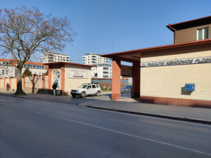 U fakultní nemocnice na Borech začne zítra kácení stromů, musí ustoupit novým parkovacím místům