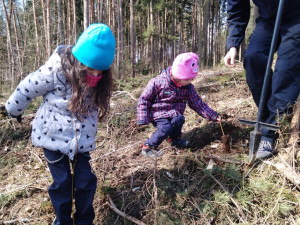 Plzeňané se mohou zapojit do obnovy lesa a vysadit si v arboretu Sofronka svůj stromek