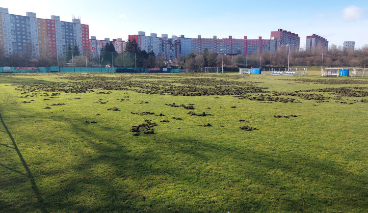 Divočáci zdevastovali fotbalové hřiště, město chce sportovcům poskytnout tři miliony na obnovu sportoviště