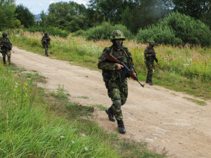 V minulém životě jsem byl asi tuleň, říká překladatel a voják aktivních záloh Pavel Kaas z Plzeňska