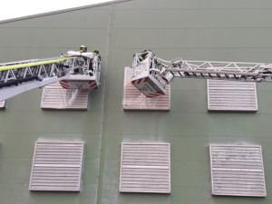 Likvidace chovu zasaženého ptačí chřipkou