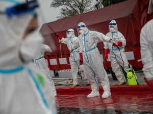 Likvidace chovu zasaženého ptačí chřipkou