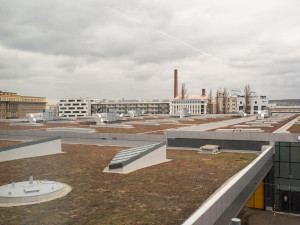 Tato střecha se už brzy zazelená