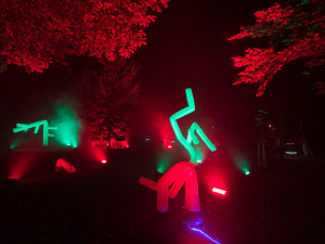 Instalace Živý les od Kateřiny Blahutové, zdroj: Signal Festival