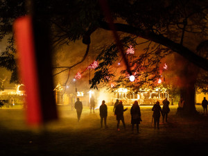 Slet slov od Pavly Beranové