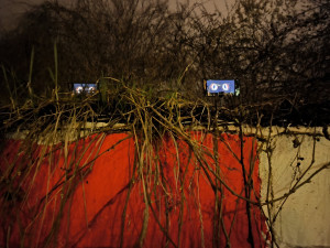 Začal festival světla, už v pátek obdivovaly úchvatné instalace tisíce lidí