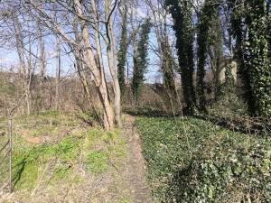 Uklízejí za jednu stravenku a pocit, že stále ještě patří do společnosti