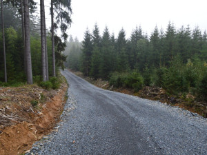 Choďte do lesa pěšky, vyzývají turisty ochranáři. Na hříšníky čeká pokuta