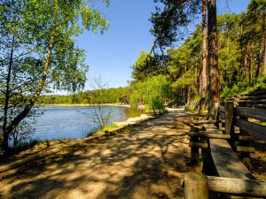 Historie oblíbených boleveckých rybníků se začala psát před stovkami let